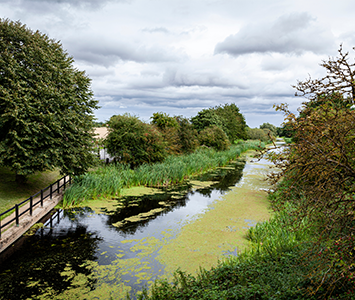 Selby canal, winding its way through the wonderful North Yorkshire countryside